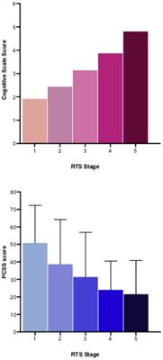 School performance in youth after a concussion